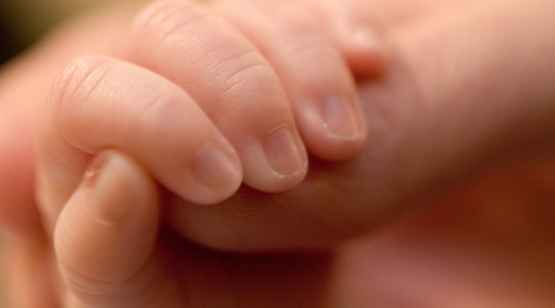 Município de Vinhais atribuiu 55 mil euros em apoios a bebés e crianças do concelho