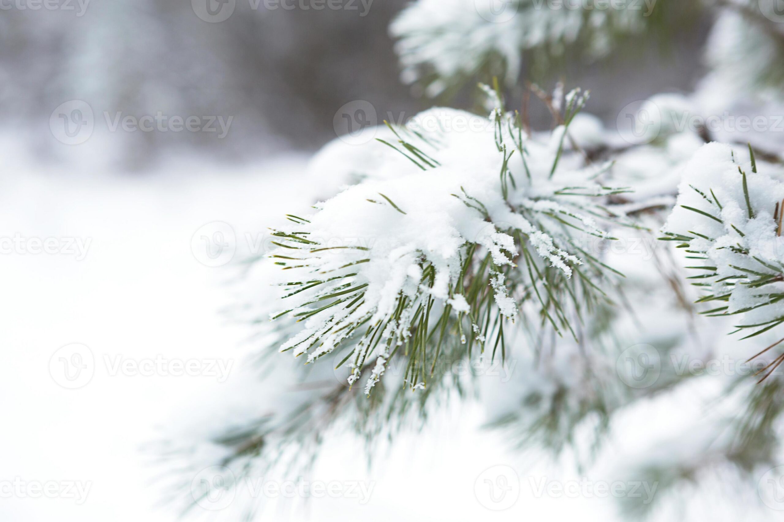 Distrito de Bragança sob aviso amarelo devido à previsão de queda de neve