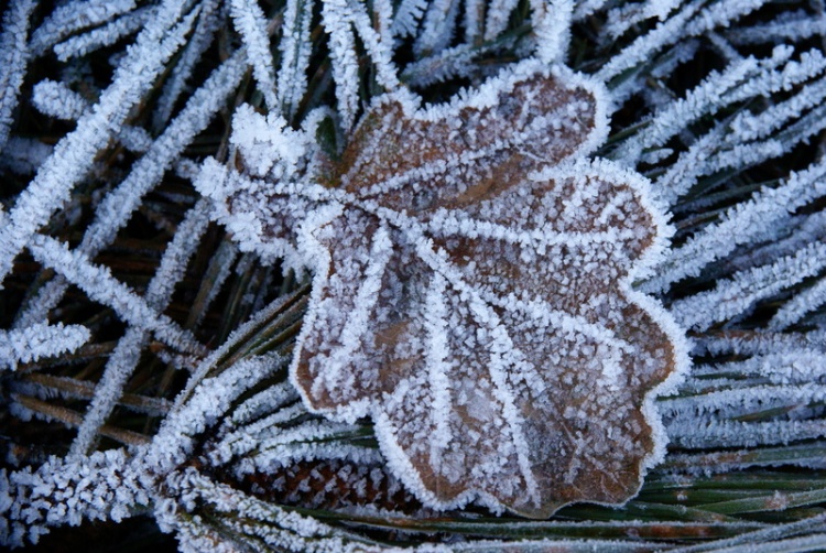 Distrito de Bragança sob aviso amarelo devido ao frio