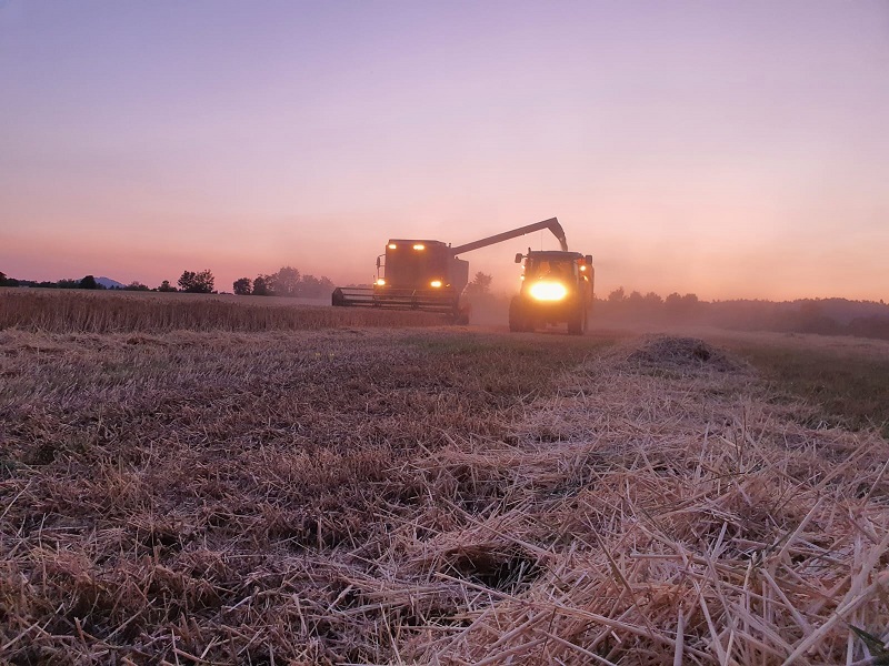 Agricultores vão protestar esta manhã em Mirandela à frente da Direcção Regional de Agricultura e Pescas do Norte
