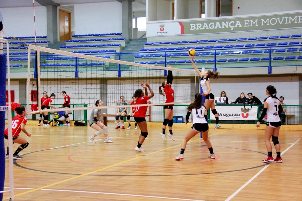 Voleibol: Clube Académico de Bragança regressa às vitórias