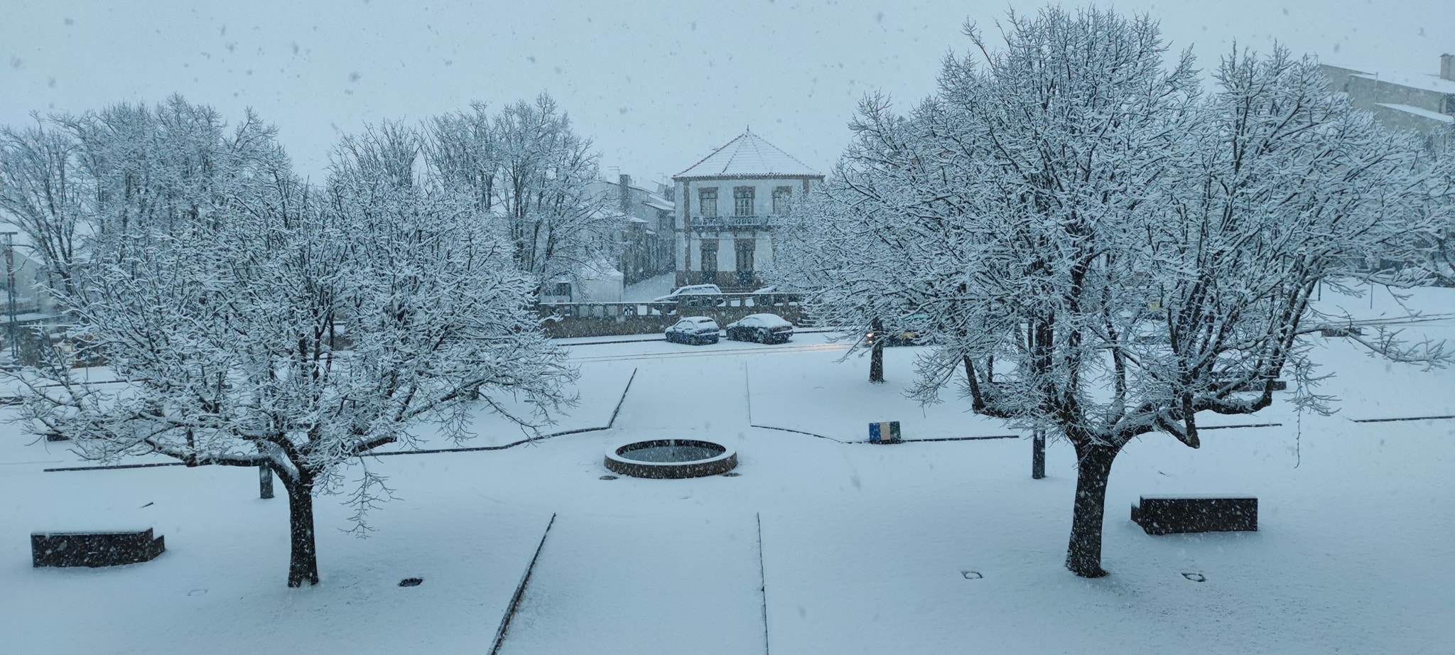 Neve em Mogadouro encerrou escolas e causa constrangimentos na circulação