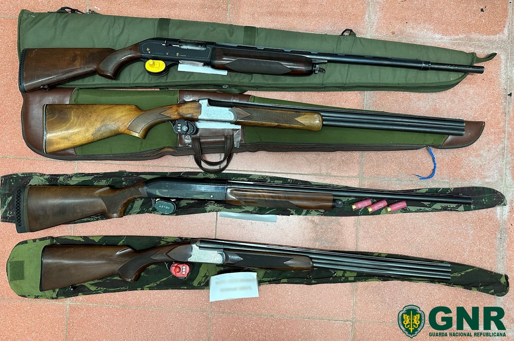 GNR deteve quatro homens por caçarem em área não permitida no concelho de Mogadouro