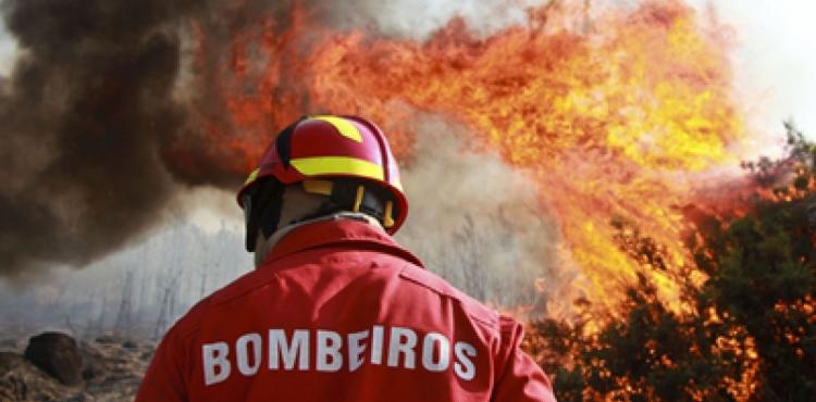 25 milhões de euros para apoiar empresas afectadas pelos incêndios do passado Verão e as cheias deste Inverno