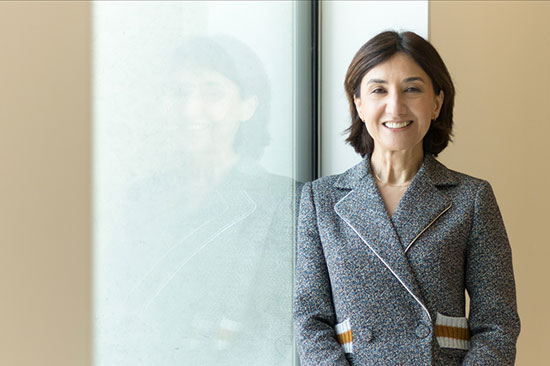 Candidaturas para apoios para agricultores afectados pelo mau tempo vão abrir brevemente