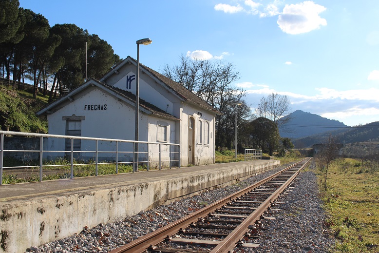 Director do PNRVT desafia Governo a começar revitalização da linha ferroviária pelo Vale do Tua