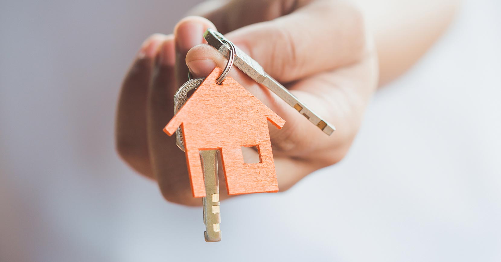 Secretário-Geral do PSD: Interior vai ser prejudicado com algumas medidas previstas no programa “Mais Habitação”