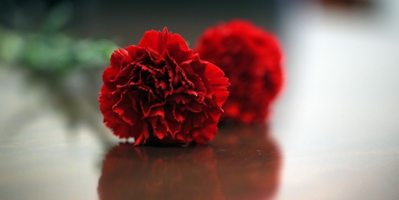 49 anos do 25 de Abril de 1974