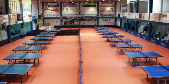 Ténis de Mesa: Governo atribuiu estatuto de Utilidade Pública ao CTM Mirandela