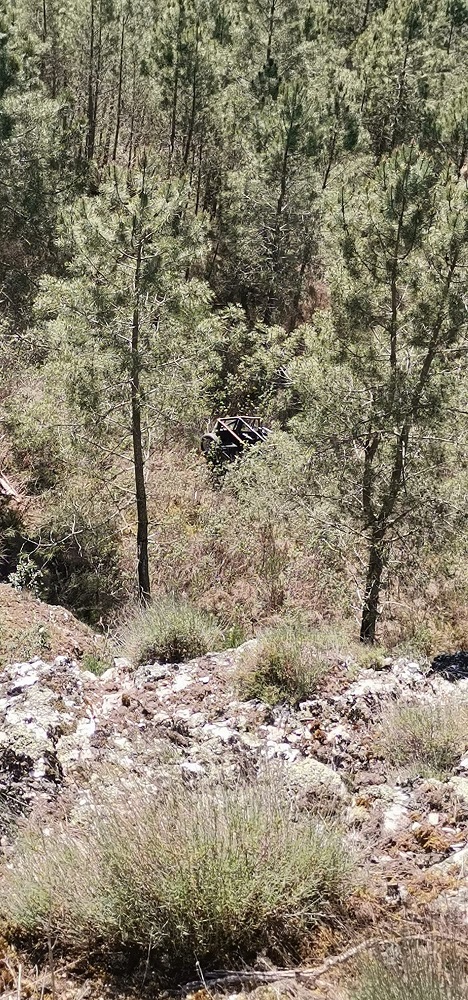 Dois homens feridos depois de caírem de carro numa ribanceira de 50 metros no concelho de Vinhais