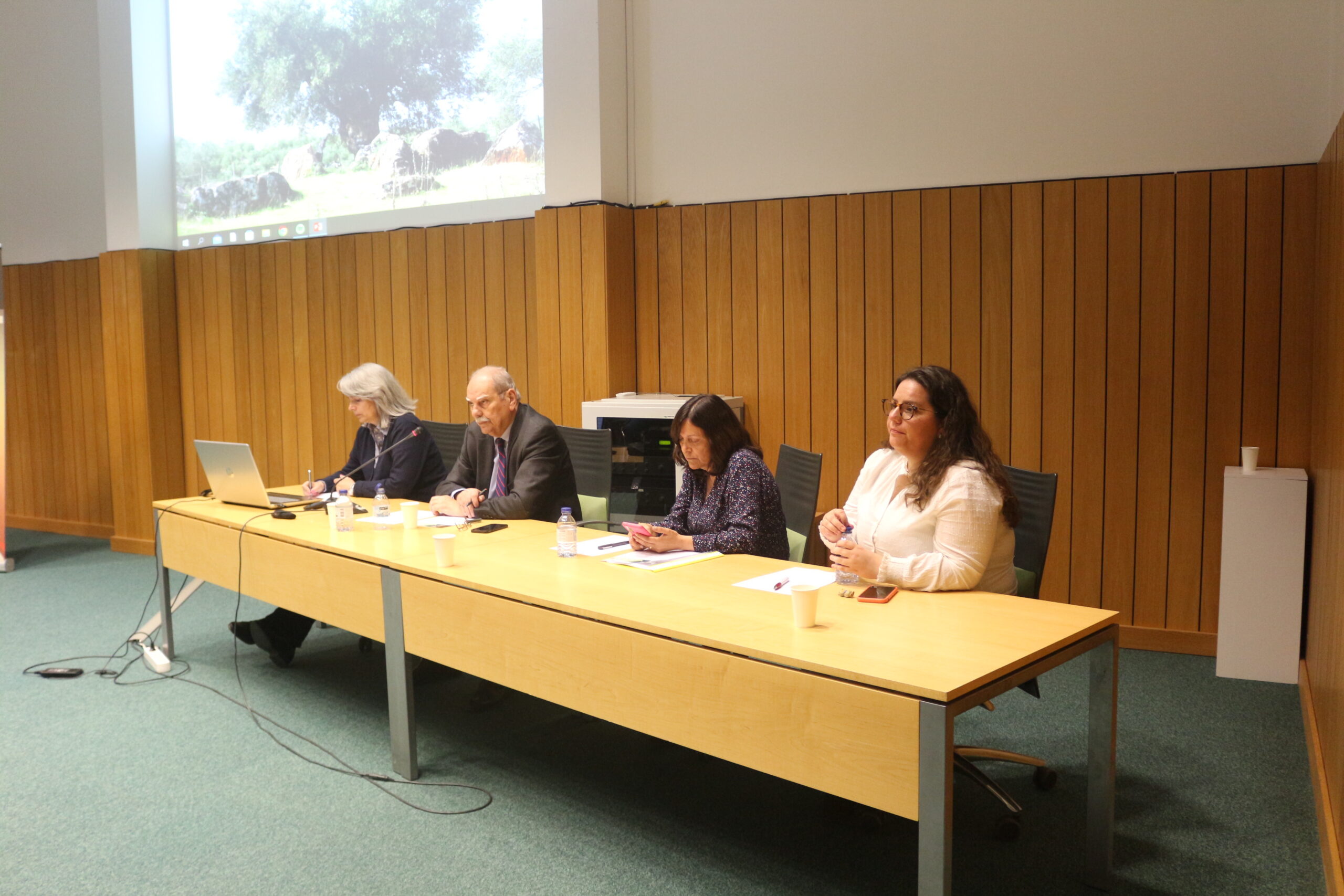 Olivicultores sem expectativa de melhoria da campanha em relação ao ano anterior