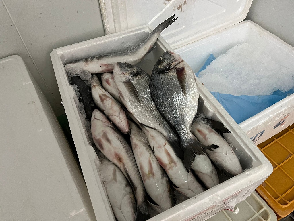 Taxa de IVA zero não convence comerciantes da região