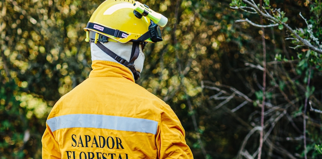 Governo vai aumentar apoio dado a sapadores florestais