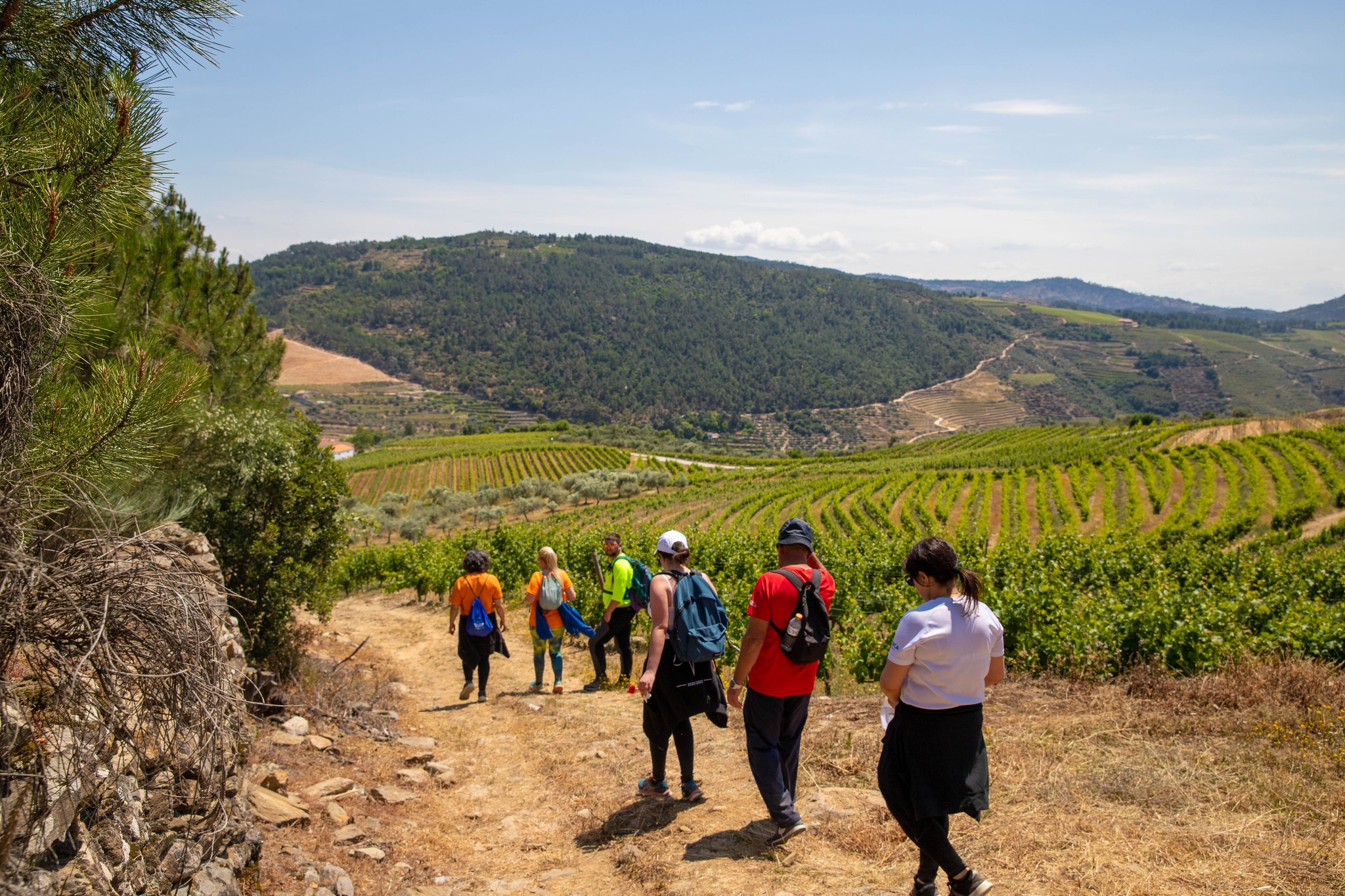 Portugal NTN recebe selo “Sustainability Engaged” pela Turismo de Portugal