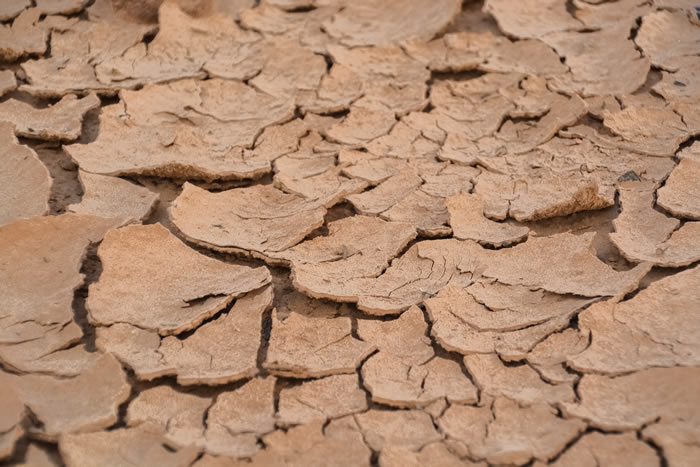 Confederação Nacional de Agricultura exige que Governo declare situação de seca na região e apoie agricultores