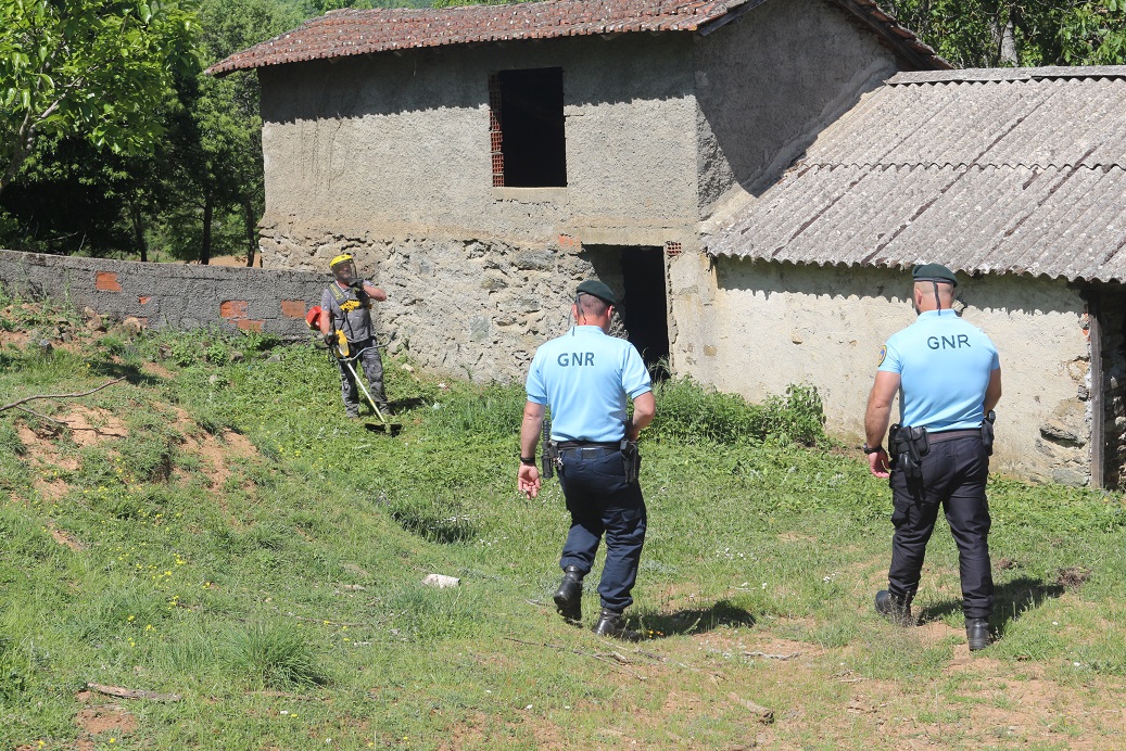 Falta de mão-de-obra compromete limpeza de terrenos
