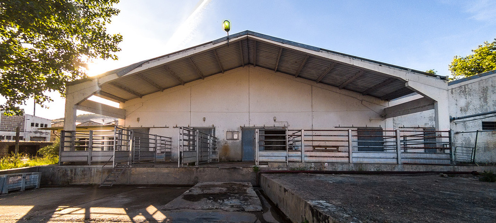 Águas residuais do matadouro e de fábricas do complexo do Cachão estão a correr a céu aberto sem qualquer tratamento