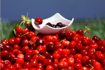 Cereja de Alfândega da Fé pode ser IGP ainda este ano