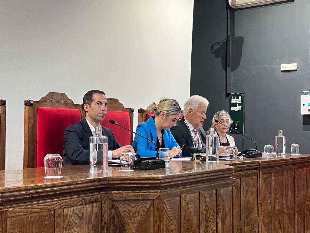 Continuar a fazer pressão será determinante para ter ferrovia de alta velocidade na região e ligação a Espanha