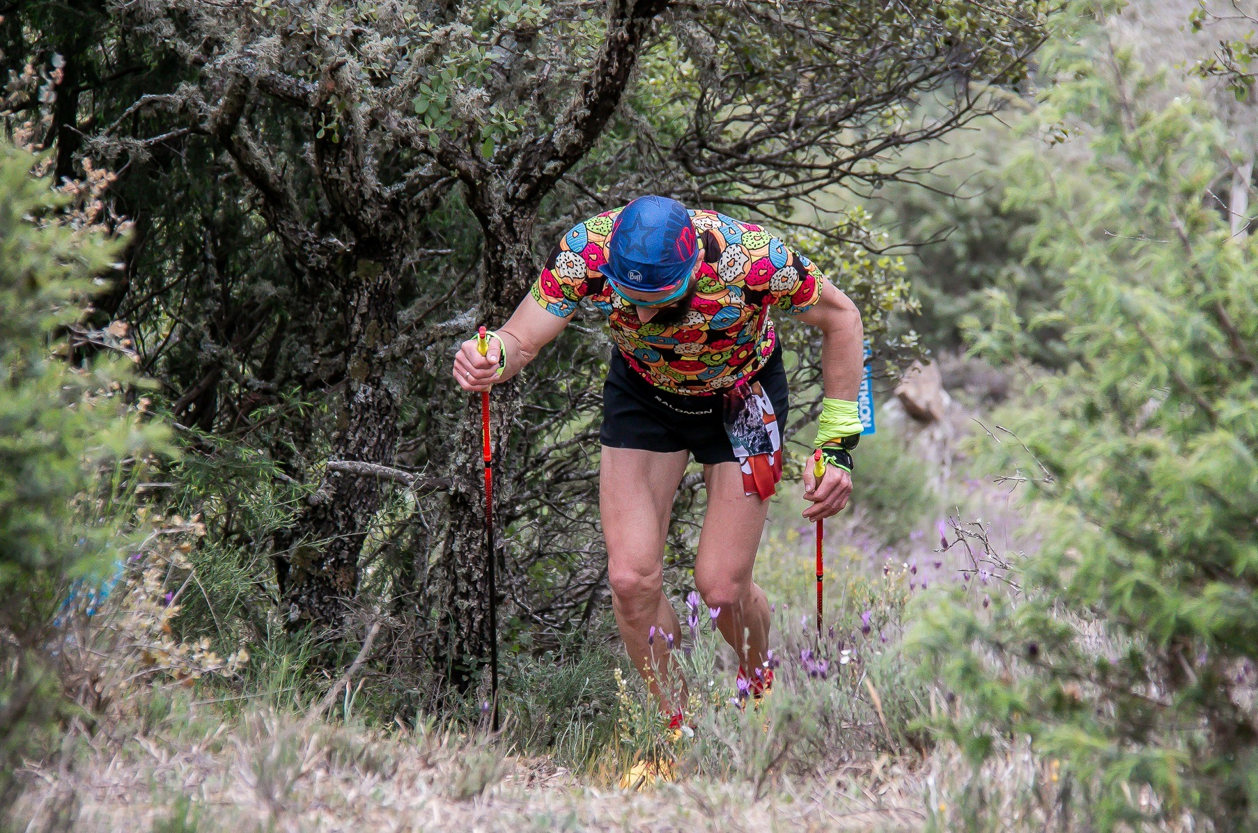 Ultra Trail Tierra de Miranda vai trazer centenas de atletas a Miranda do Douro