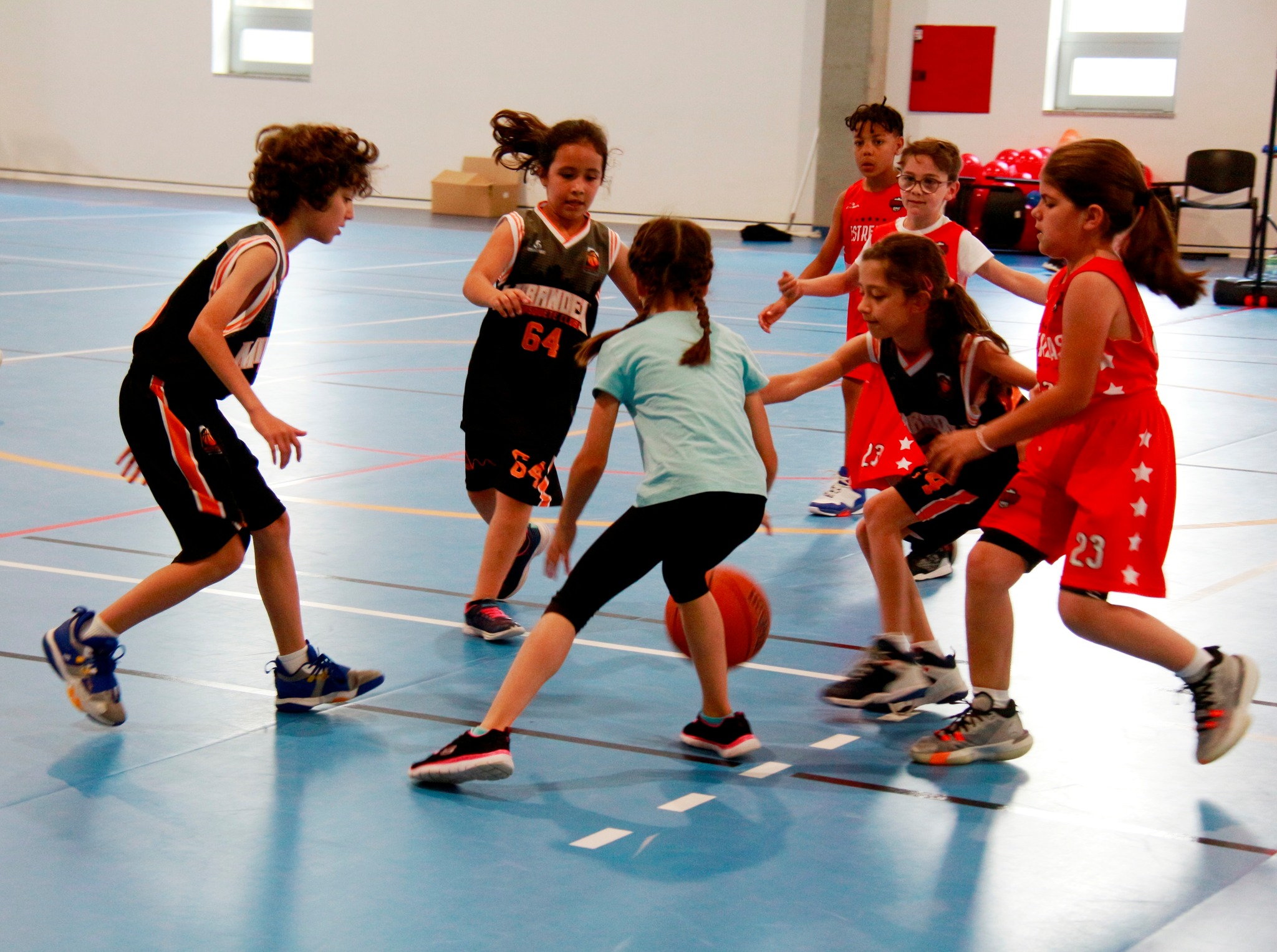 Dia Nacional do Minibasquetebol assinalado em Bragança