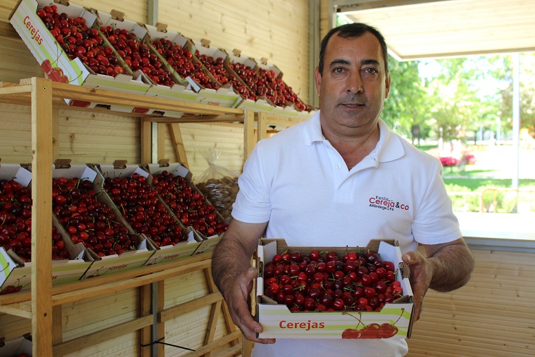 Festa da Cereja começa hoje em Alfândega da Fé