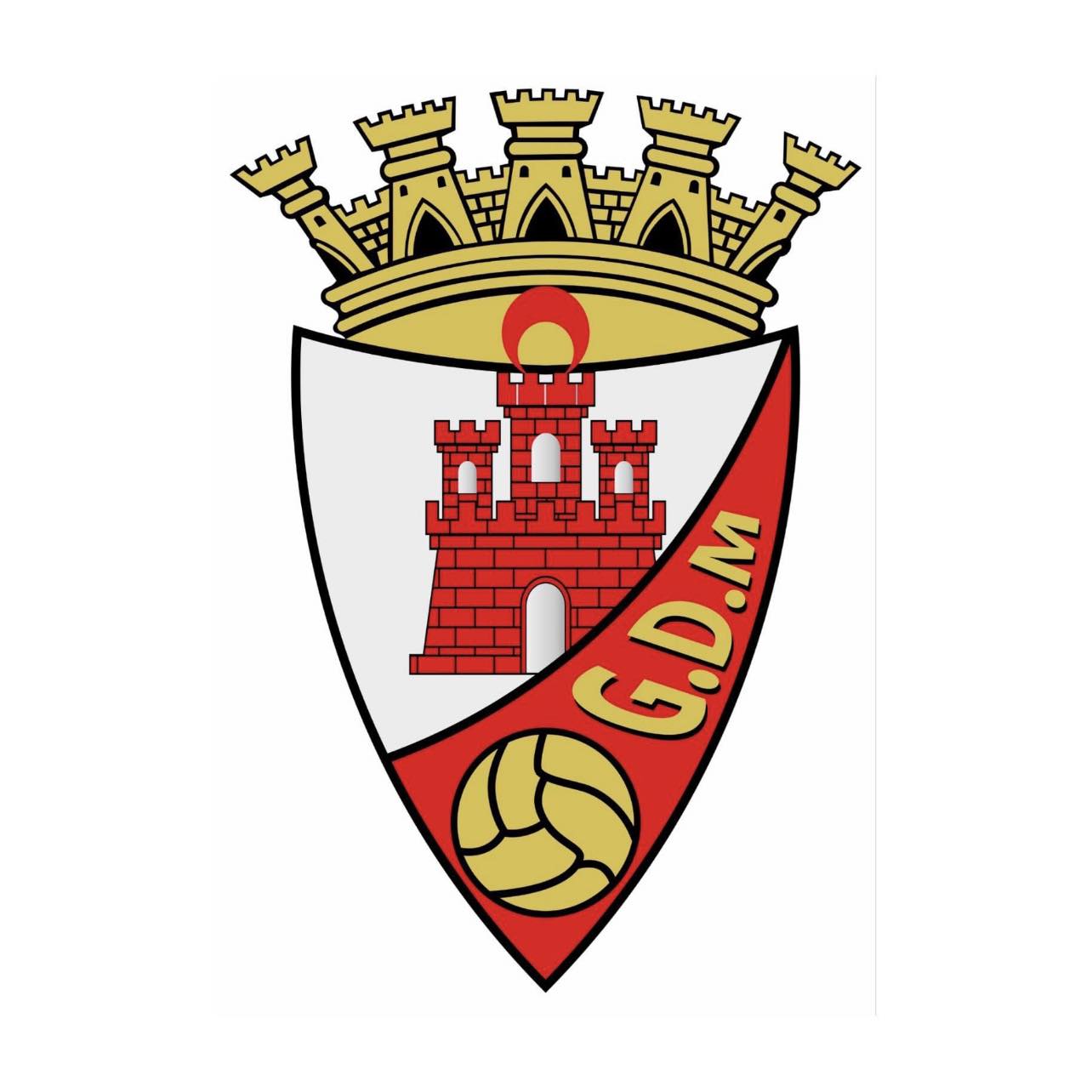 Futebol: Mirandês condenado a pagar cerca de 130 mil euros a oito jogadores