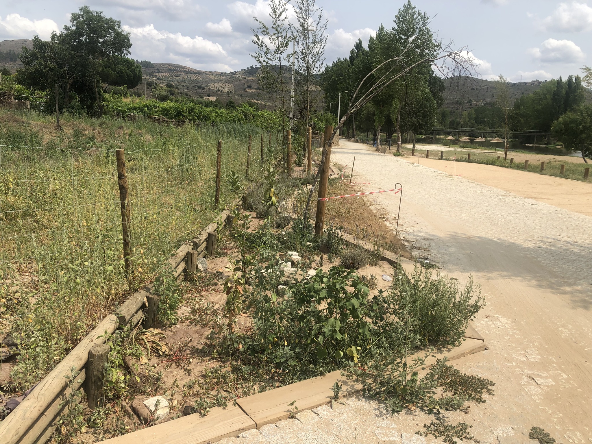 Presidente da Junta de Frechas queixa-se do “abandono” das obras de melhoramento da praia fluvial