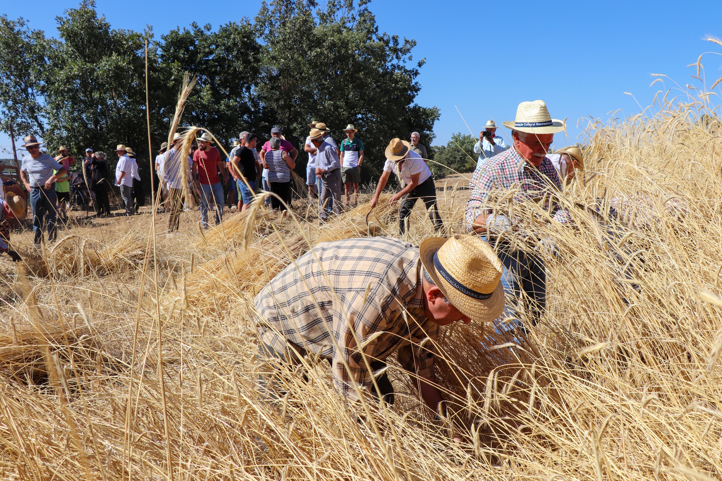 Festival de Música e Tradição da Lombada decorre até domingo em Palácios