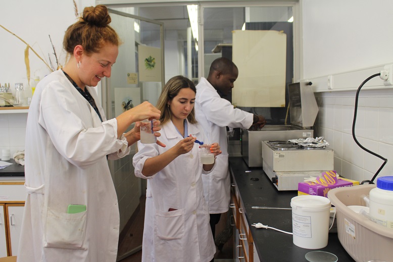 Professores do IPB querem que produção de lúpulo em Bragança volte em força