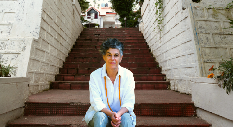 Directora regional de Cultura do Norte admite que gestão dos museus de Bragança e Miranda deve continuar a ser feita por Governo