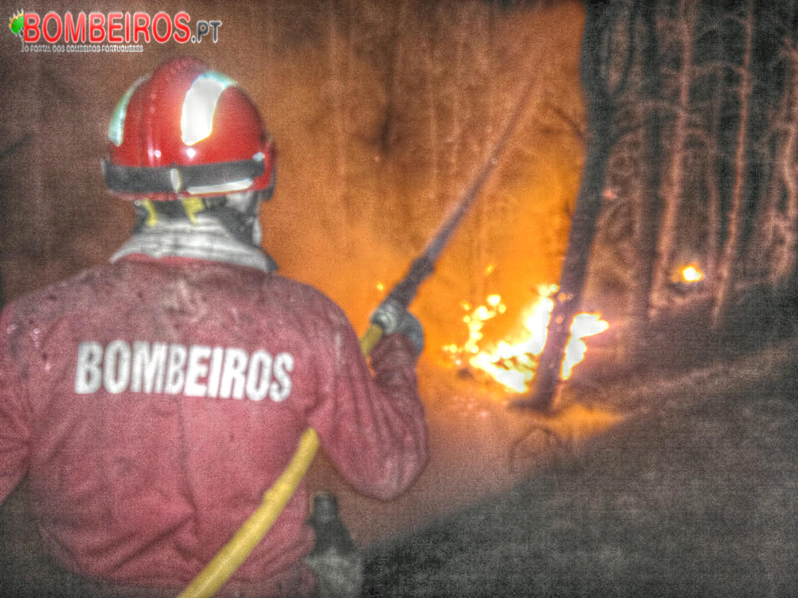 Incêndio em Carrazeda de Ansiães já está em fase de conclusão