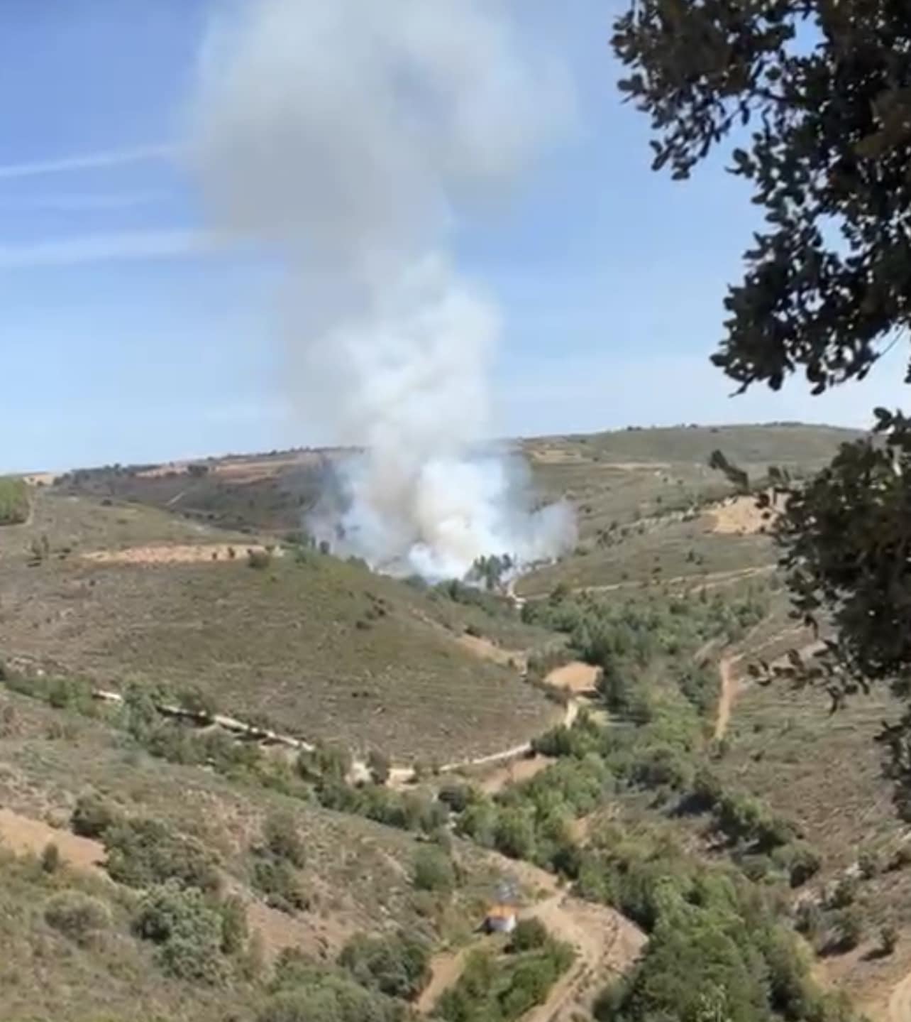 Incêndio em Argozelo em resolução