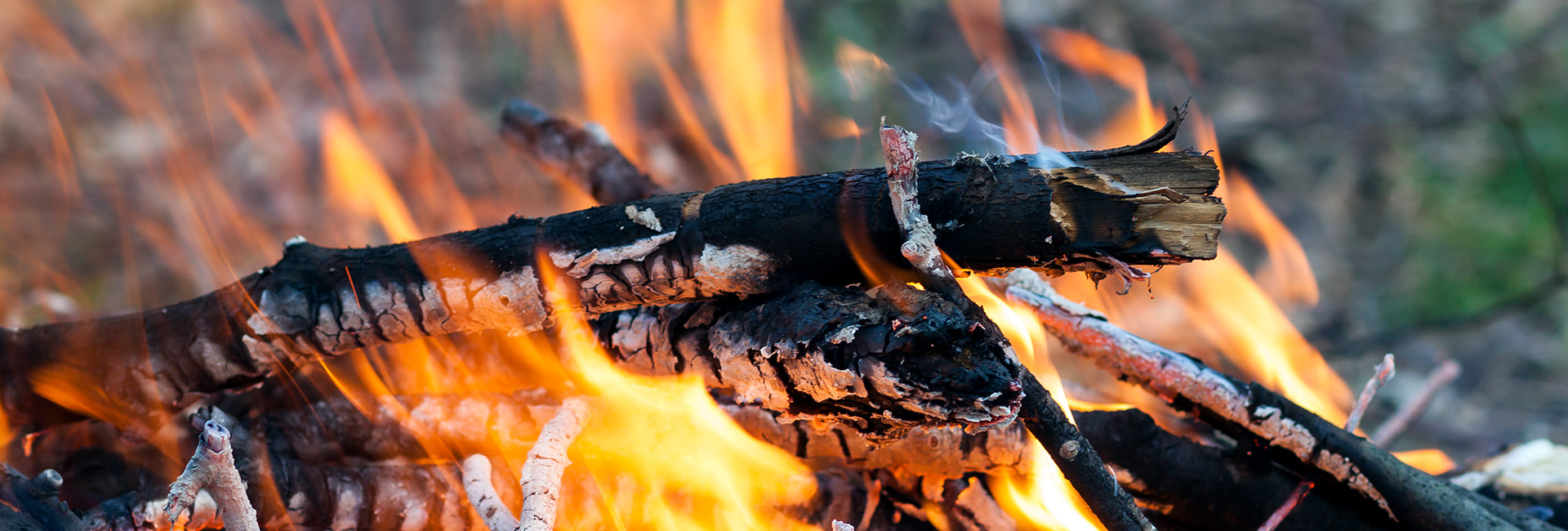 Todos os concelhos do distrito em risco máximo de incêndio rural
