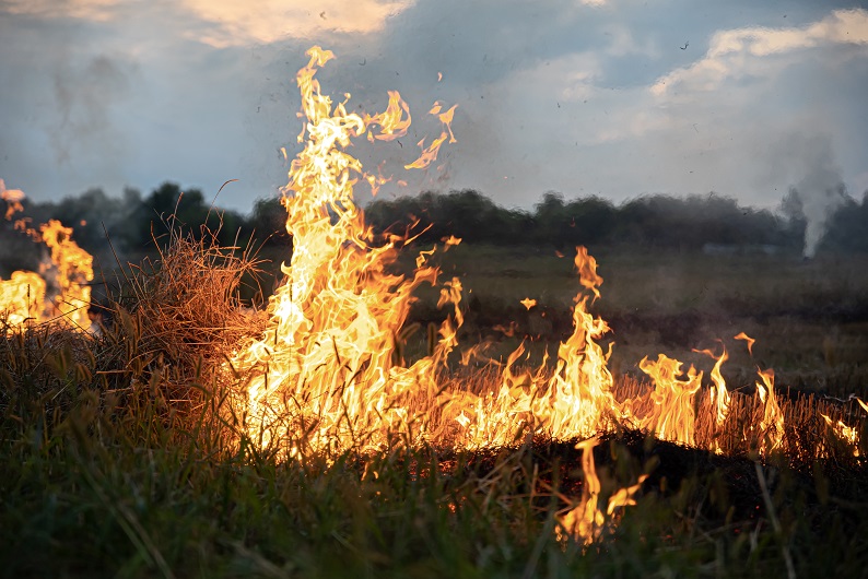 Incêndio que deflagrou em Mogadouro conta já com cinco meios aéreos