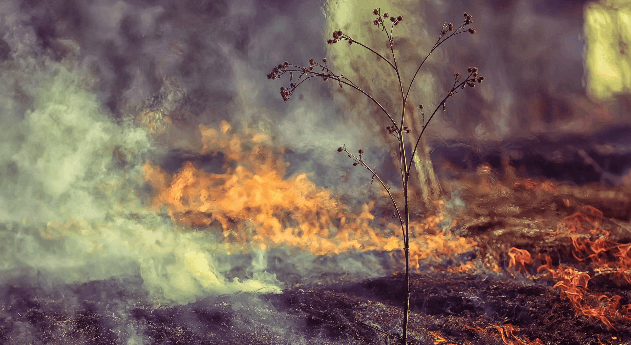 Incêndio em Carrazeda de Ansiães obriga à retirada de casa de duas pessoas de Felgueira
