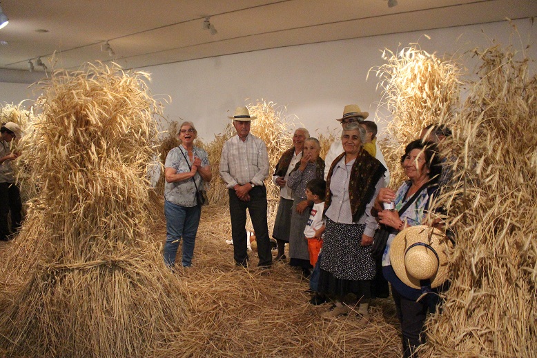 Museu do Abade Baçal abre exposição sobre segada