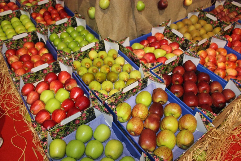 Maçã, Vinho e Azeite geram 25 milhões de euros por ano em Carrazeda de Ansiães