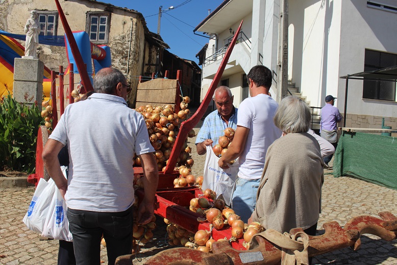 Cebola atrai compradores a São Pedro de Sarracenos