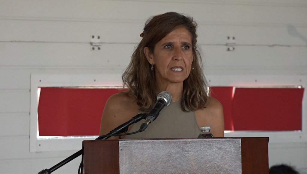 2023 tem tido menos incêndios mas Secretária de Estado da Proteção Civil alerta que é importante não baixar a guarda