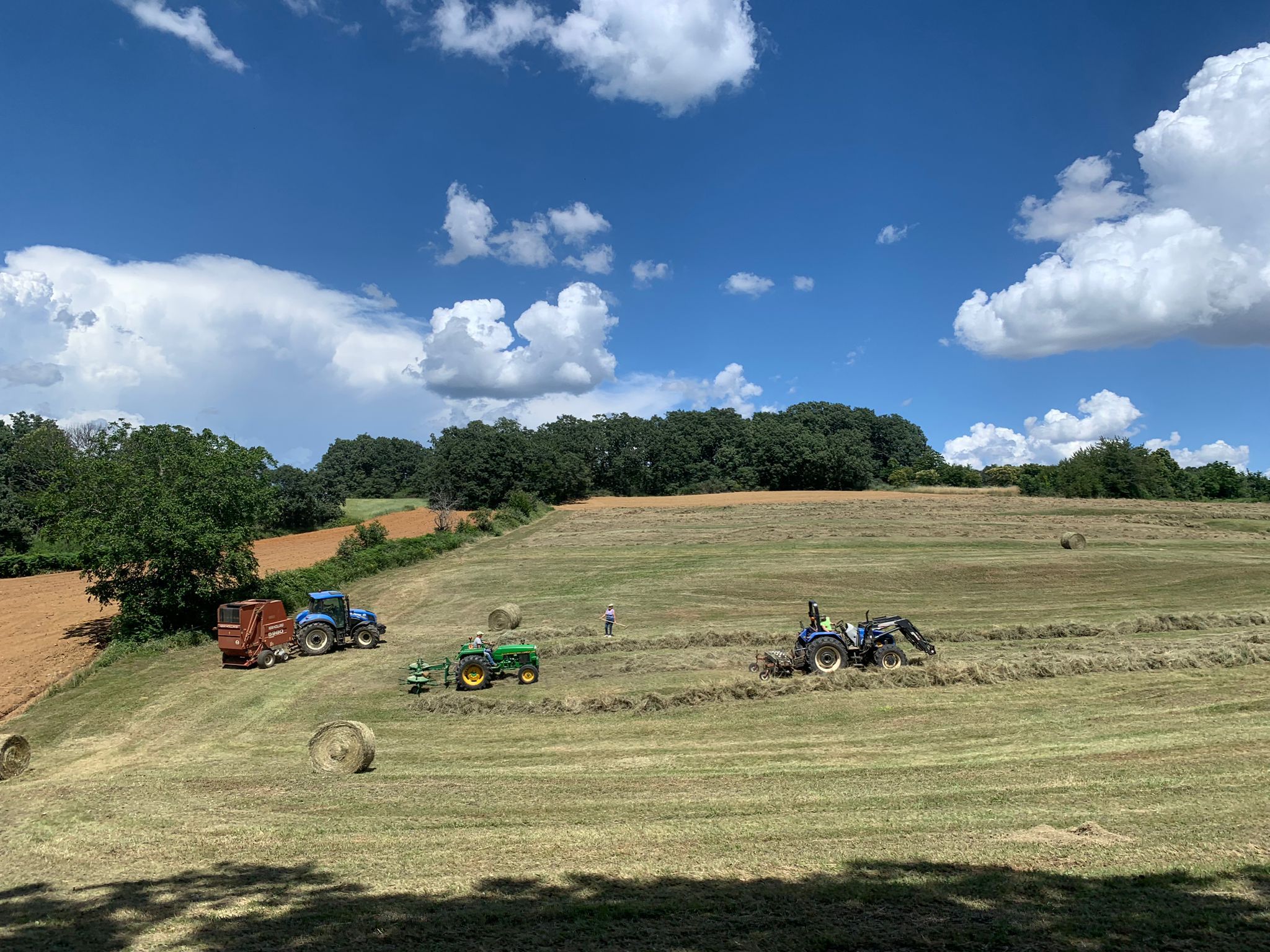 Agricultores da região queixam-se de que a activiade não compensa porque o preço do gasóleo agrícola é incomportável