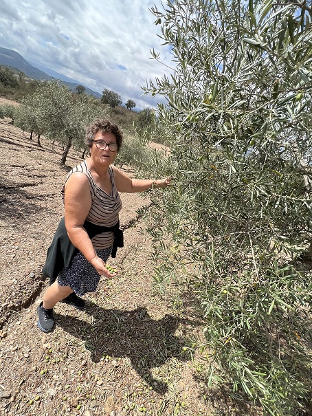Mau tempo deixou agricultores com pouco ou nada
