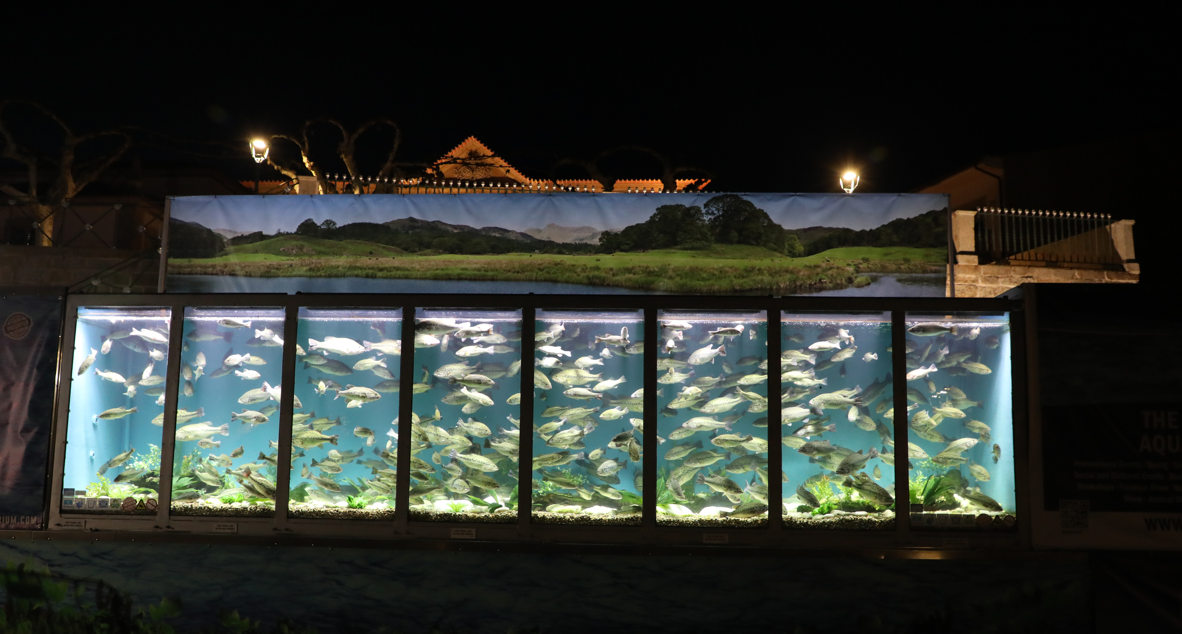 Torre de Moncorvo acolheu o segundo maior campeonato do mundo de pesca ao achigã embarcado