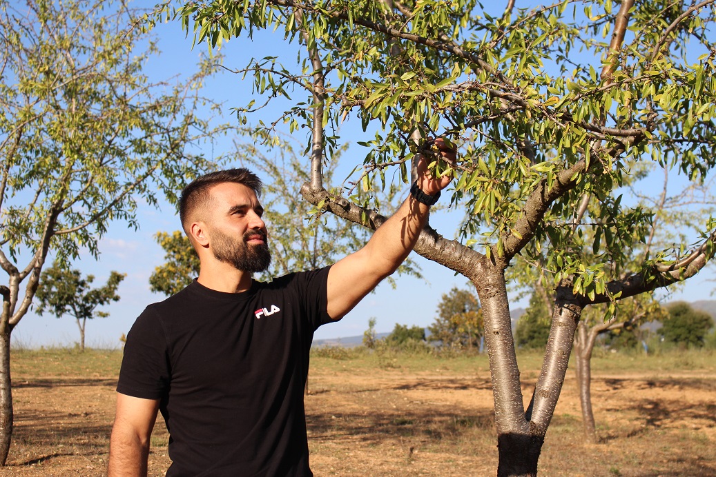 Produtores de amêndoa biológica da região com dificuldades em conseguir vender o fruto a um preço justo
