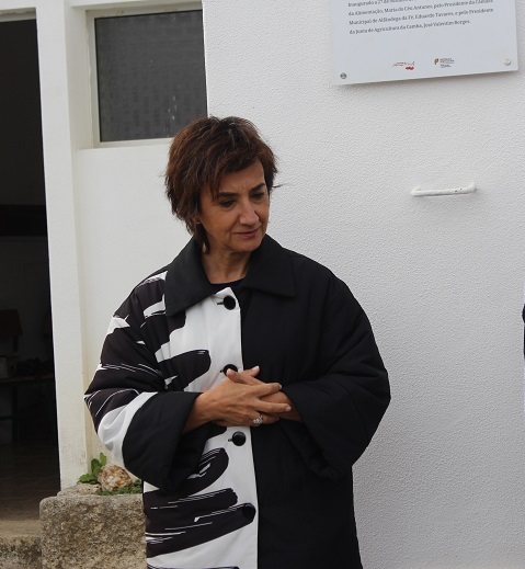 Ministra da Agricultura diz que Governo não tem apoios para produtores da castanha afectados por fungo