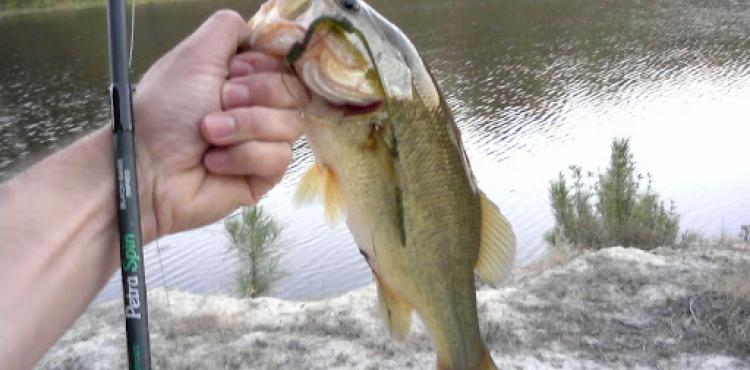 Torre de Moncorvo acolhe o segundo maior Campeonato do Mundo de Pesca ao Achigã- Embarcado