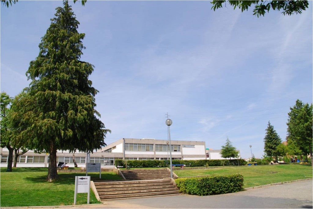Alunos do agrupamento de escolas de Macedo de Cavaleiros queixam-se da comida da cantina