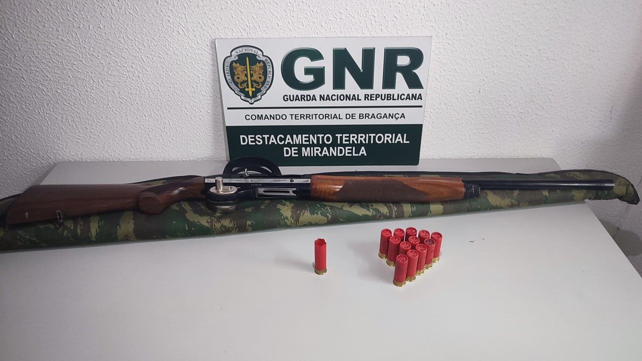 Homem detido por caçar em terrenos não cinegéticos no concelho de Mirandela