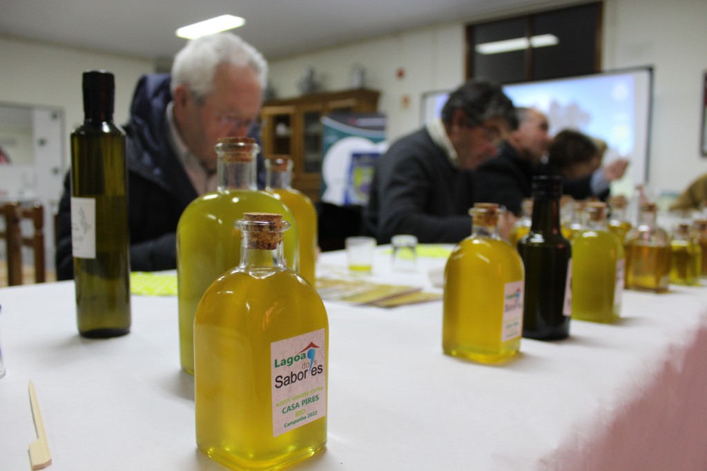 Lagoa assinalou Dia Mundial da Oliveira com olhos postos no olivoturismo