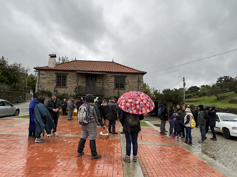 Chuva pode alterar características de cogumelos e levar a confusões perigosas na apanha